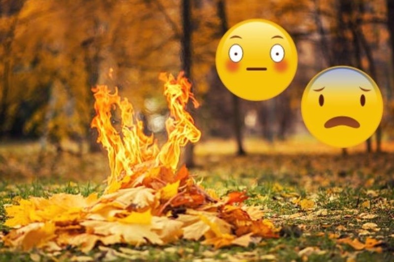 Спалювання листя: чому це небезпечно?