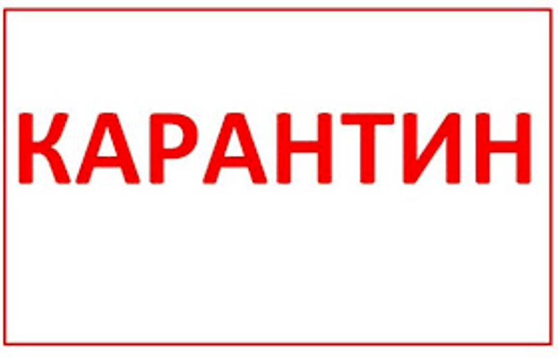 КАРАНТИН