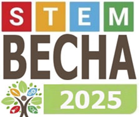 Кроки до практичної STEM-компетентності на заняттях інформатики