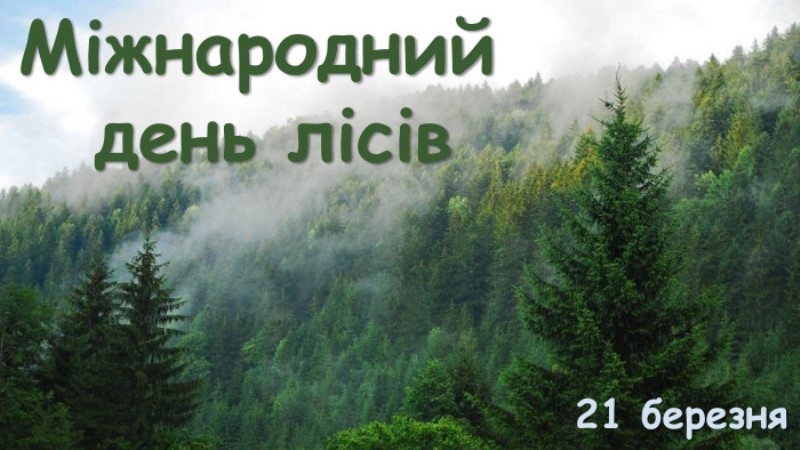 Година спілкування з нагоди Міжнародного дня лісів