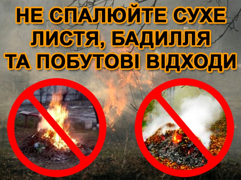 «Спалювання листя: чому це небезпечно?» – актуальний діалог з екологічного виховання
