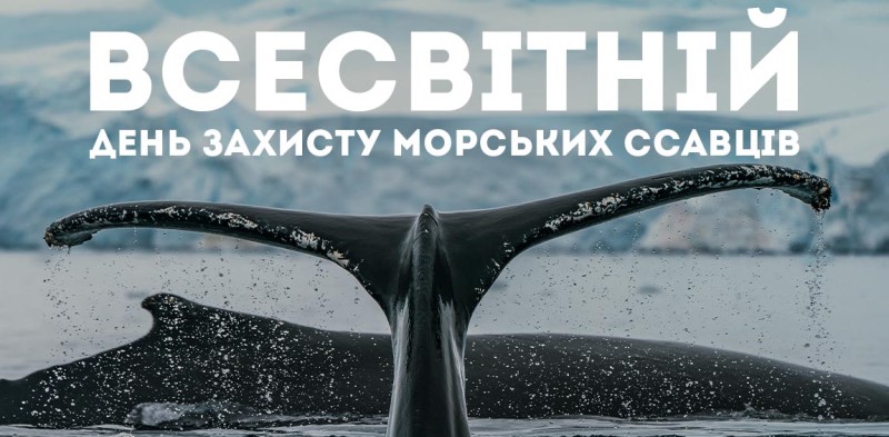 Всесвітній день захисту морських ссавців