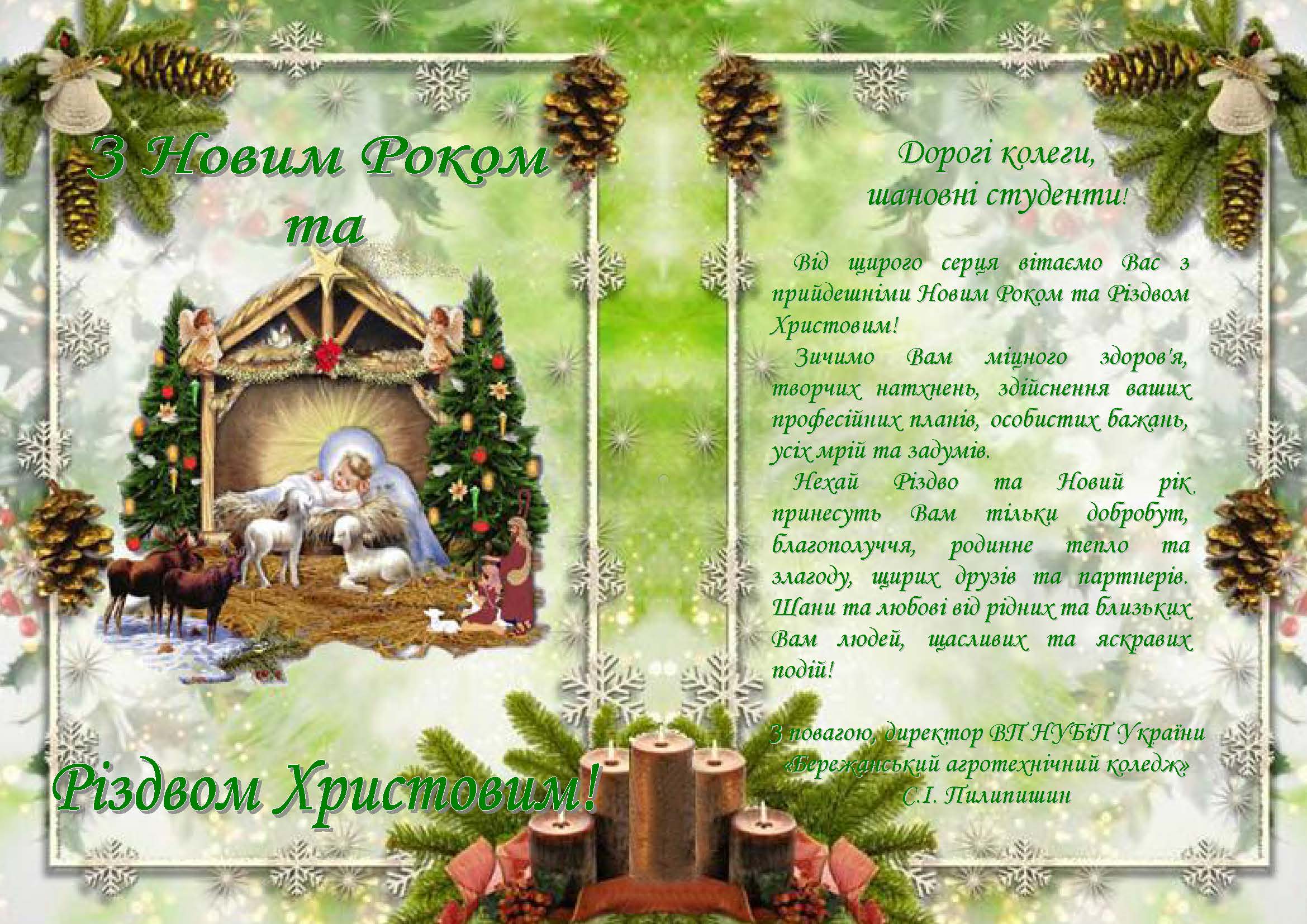 NEW YEAR2016 2017 v2